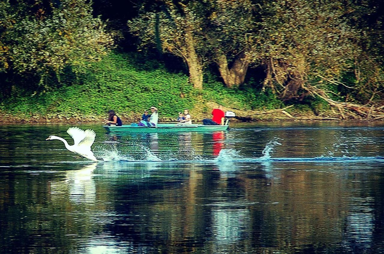 Zagreb, Kuca Za Odmor Swan River Holiday House Lasinja Buitenkant foto