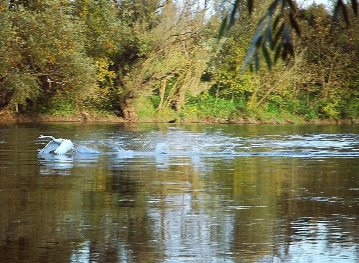 Zagreb, Kuca Za Odmor Swan River Holiday House Lasinja Buitenkant foto