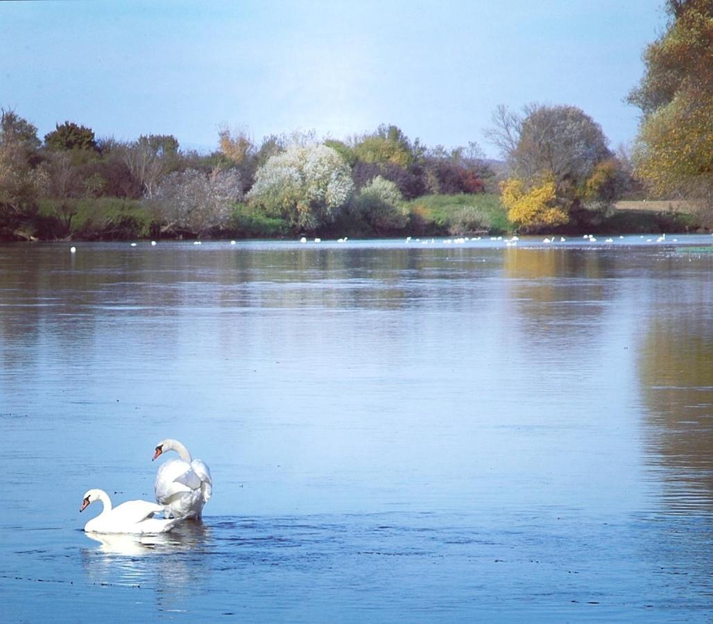 Zagreb, Kuca Za Odmor Swan River Holiday House Lasinja Buitenkant foto